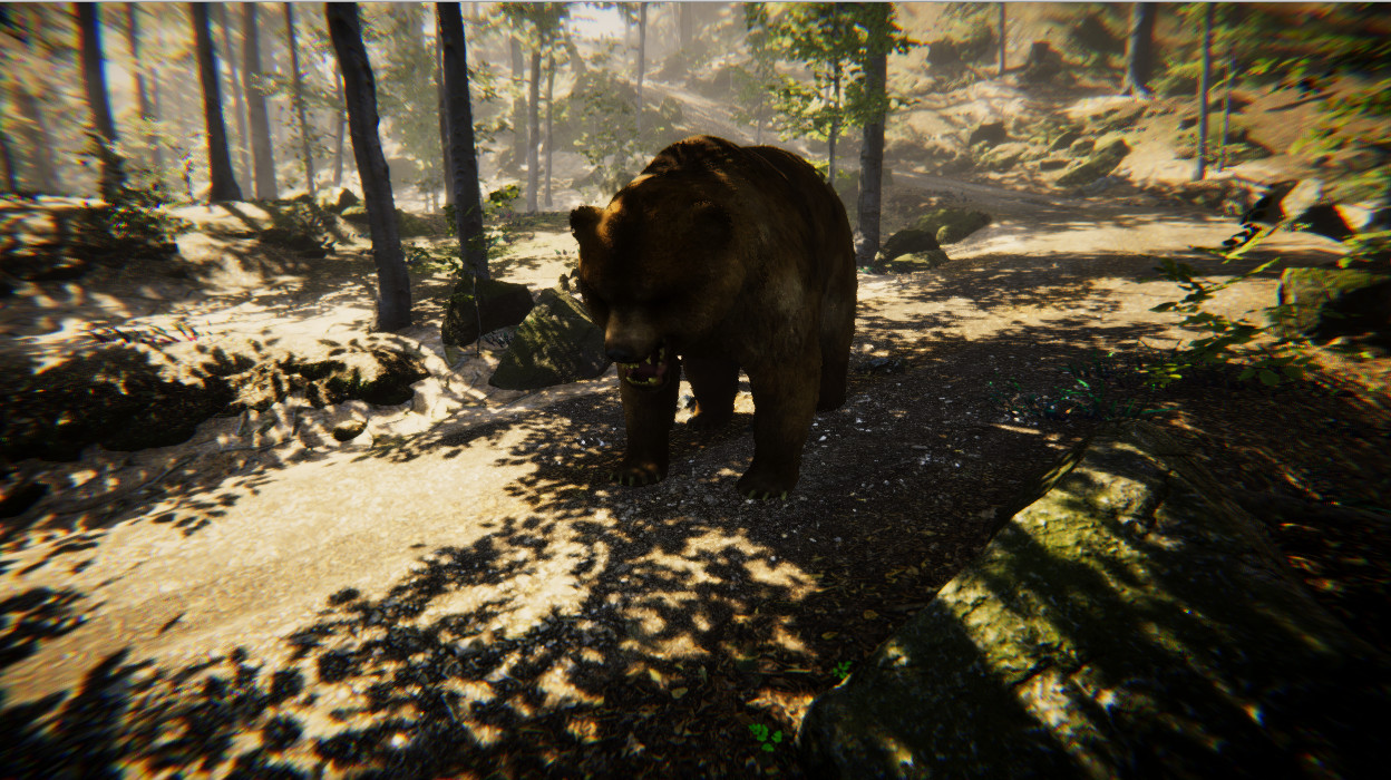 Animal Simulator