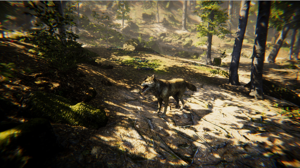 Animal Simulator