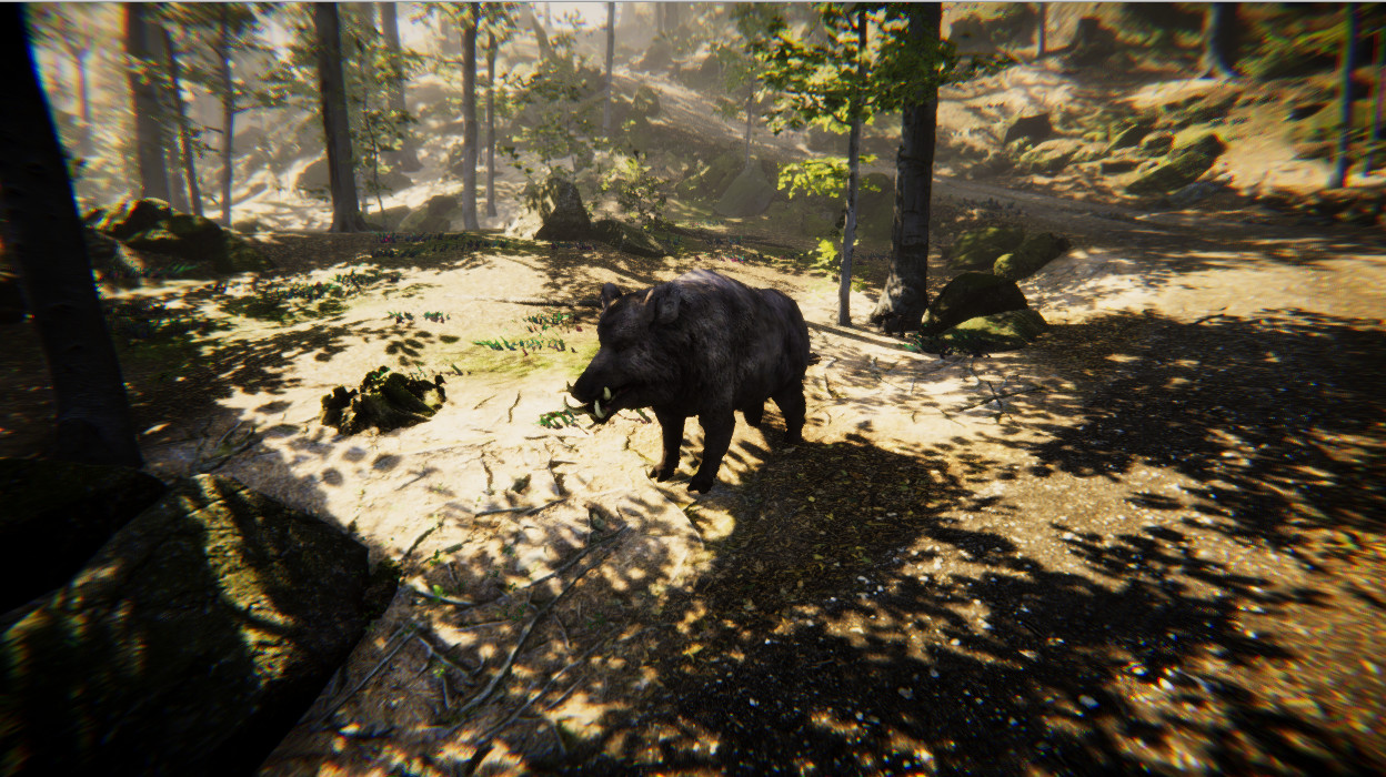 Animal Simulator