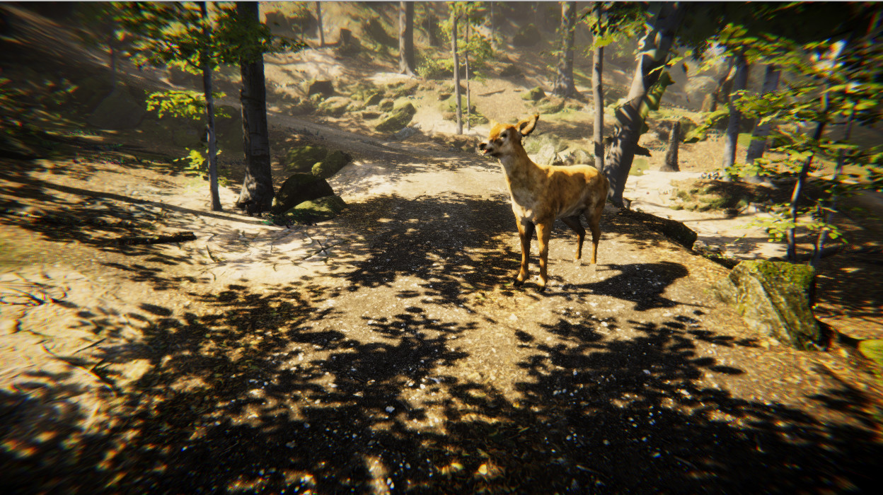 Animal Simulator