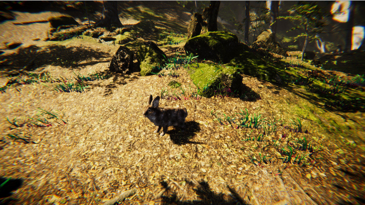 Animal Simulator