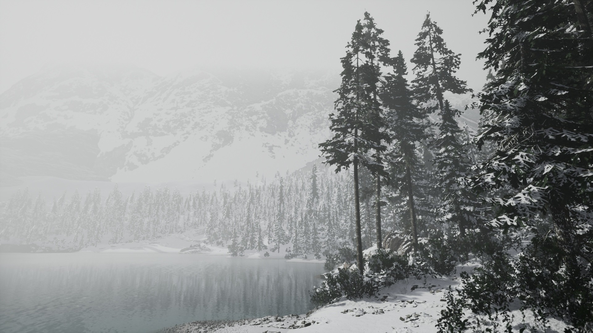 Lushfoil Photography Sim