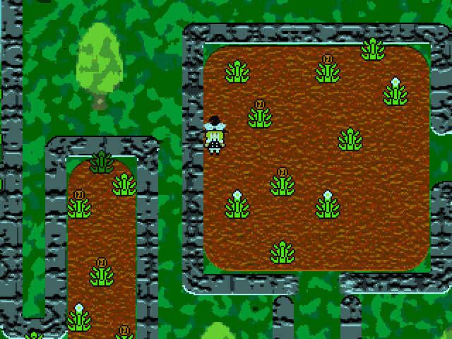 Marisa’s Inconceivable Journey