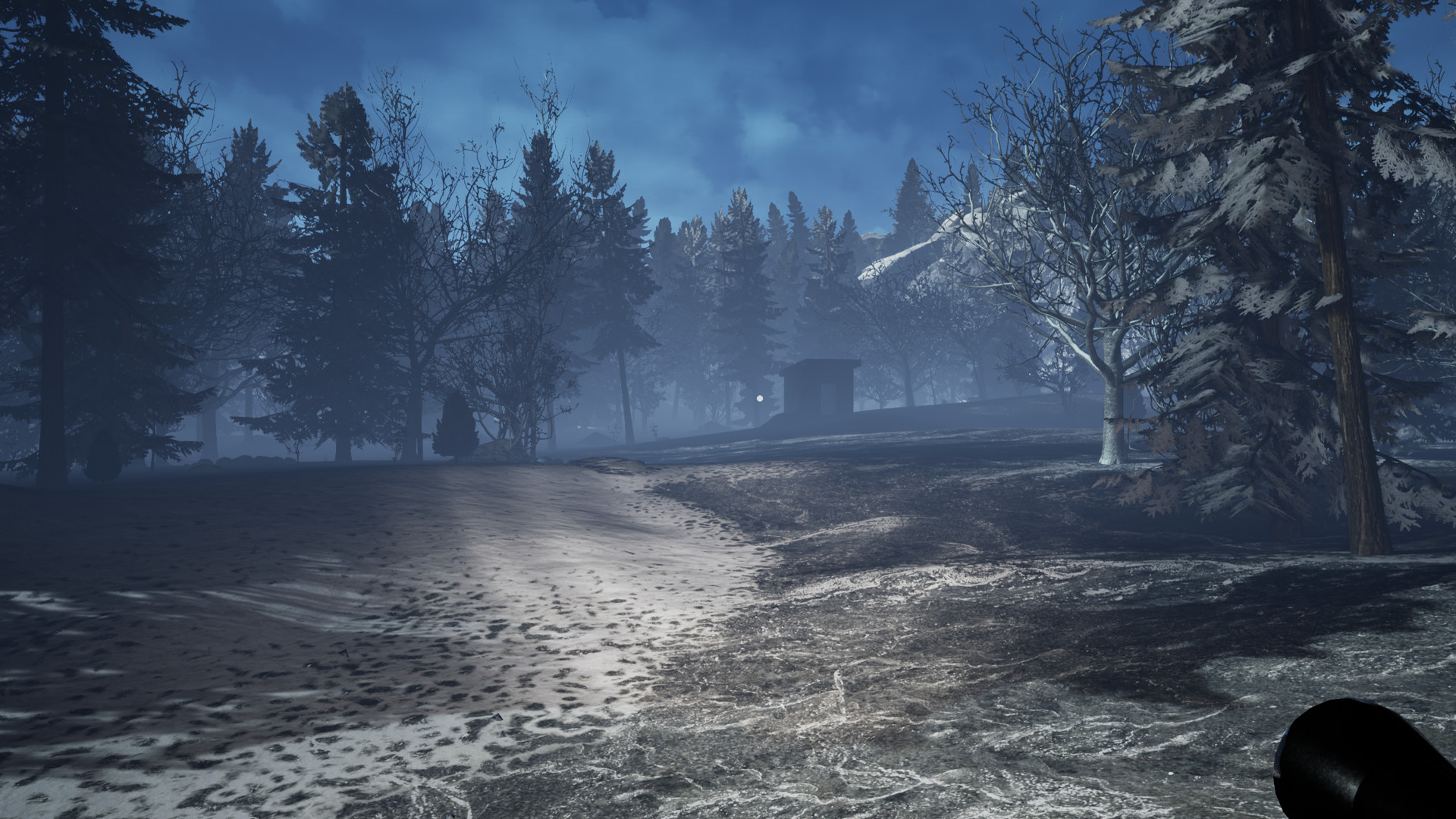 First Light