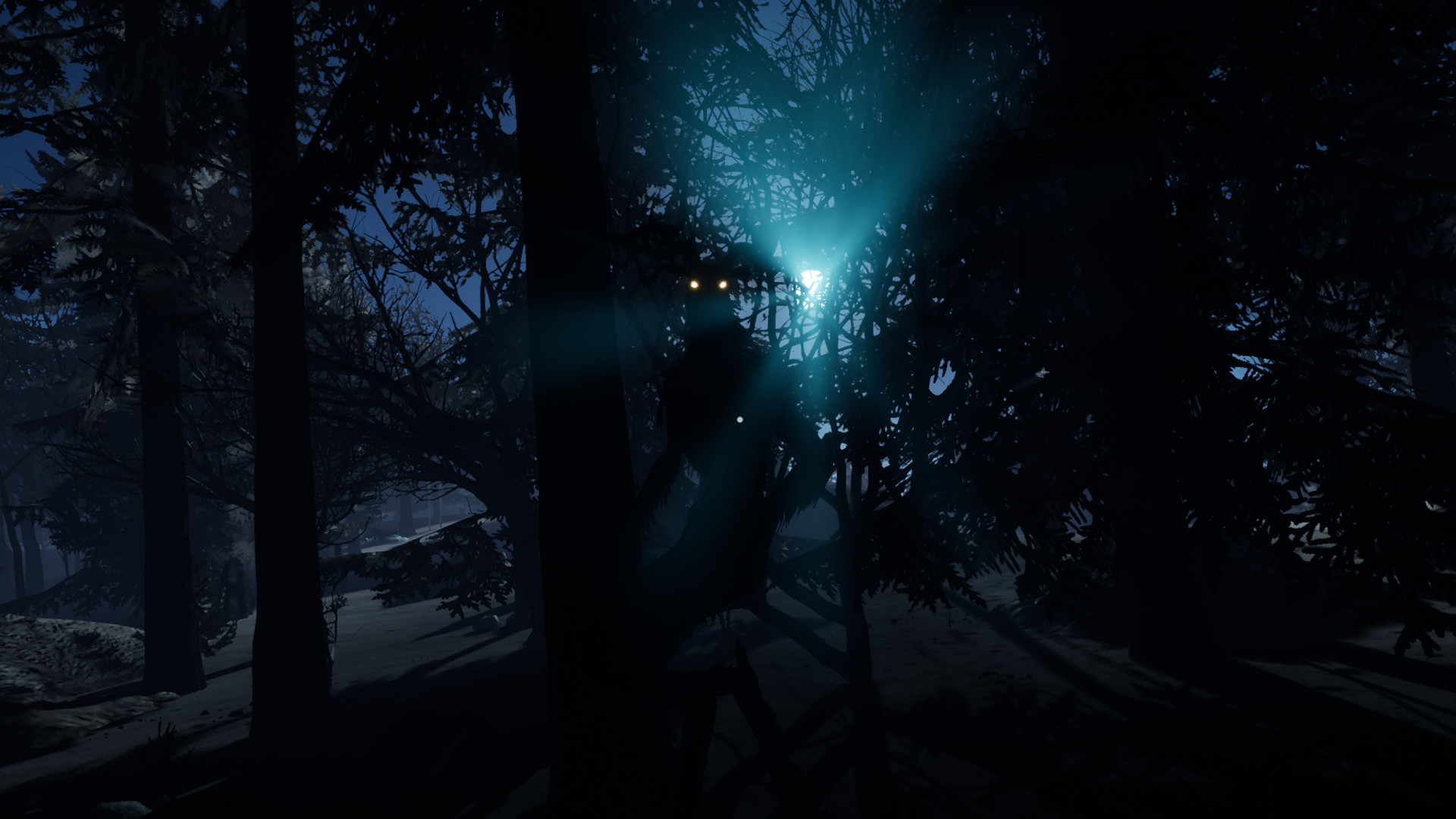 First Light