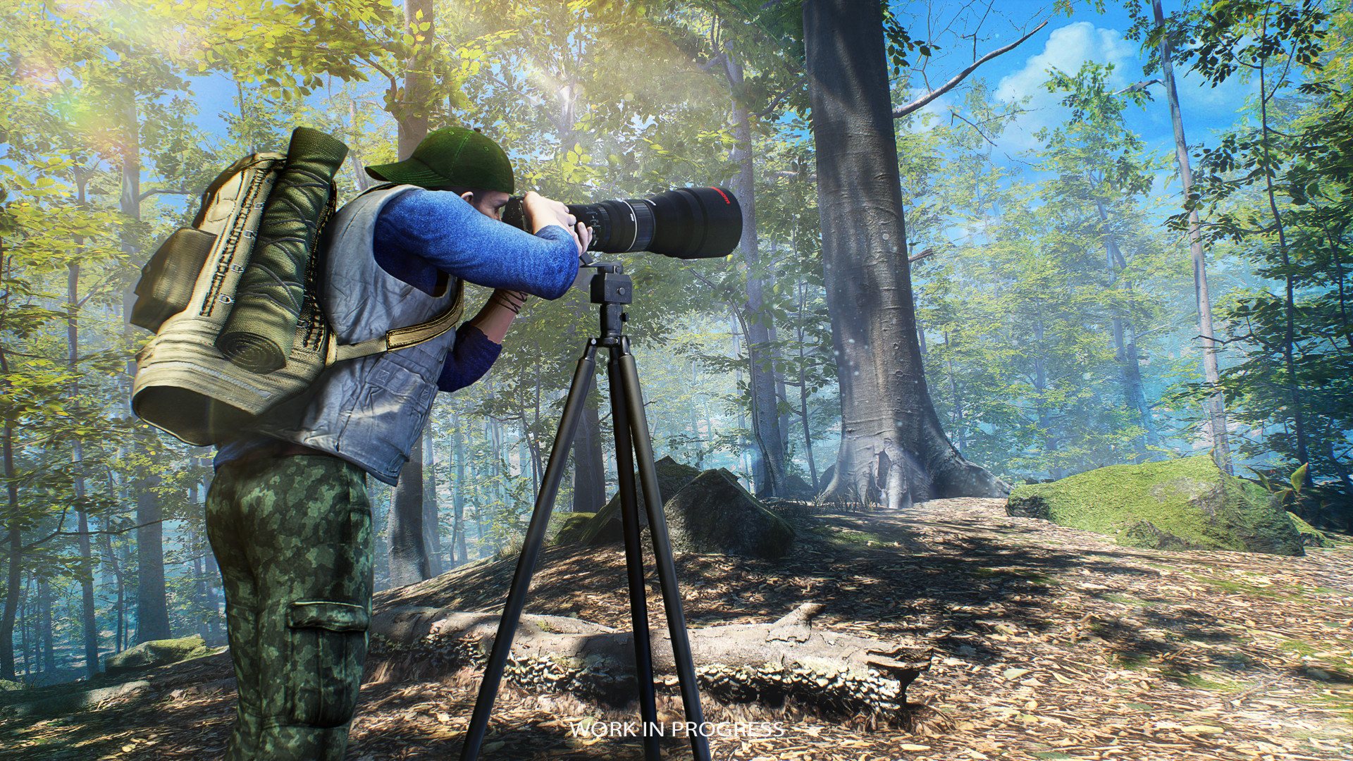 Birding Simulator