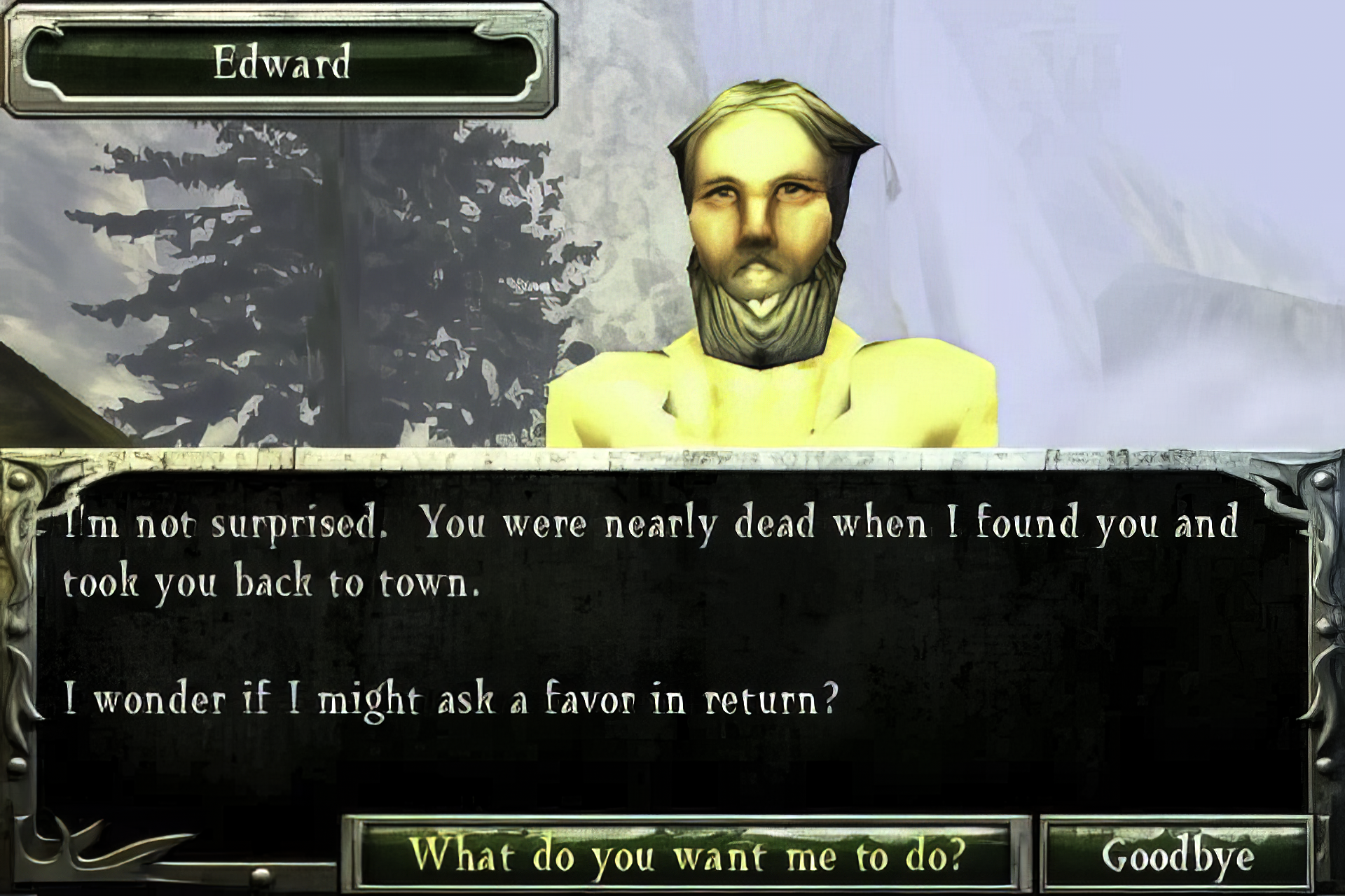Ravensword: The Fallen King