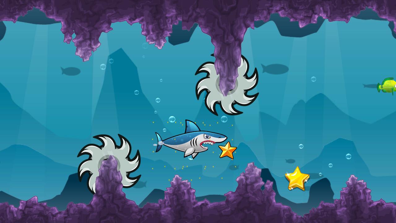 Shark Adventure