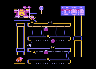 Donkey Kong Junior