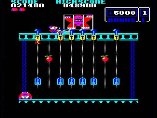 Donkey Kong Junior