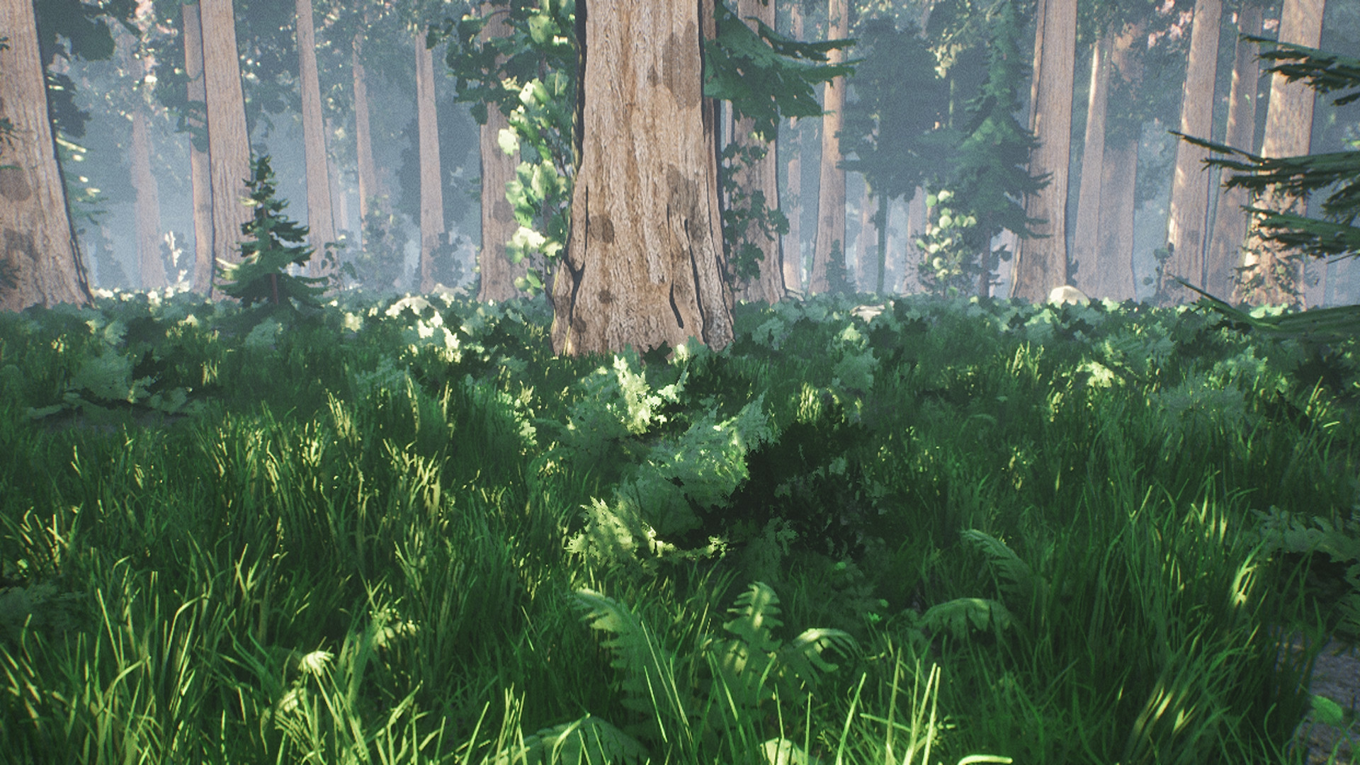 Xio: Survival