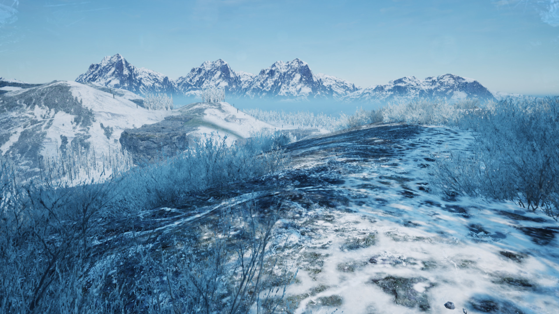 Xio: Survival