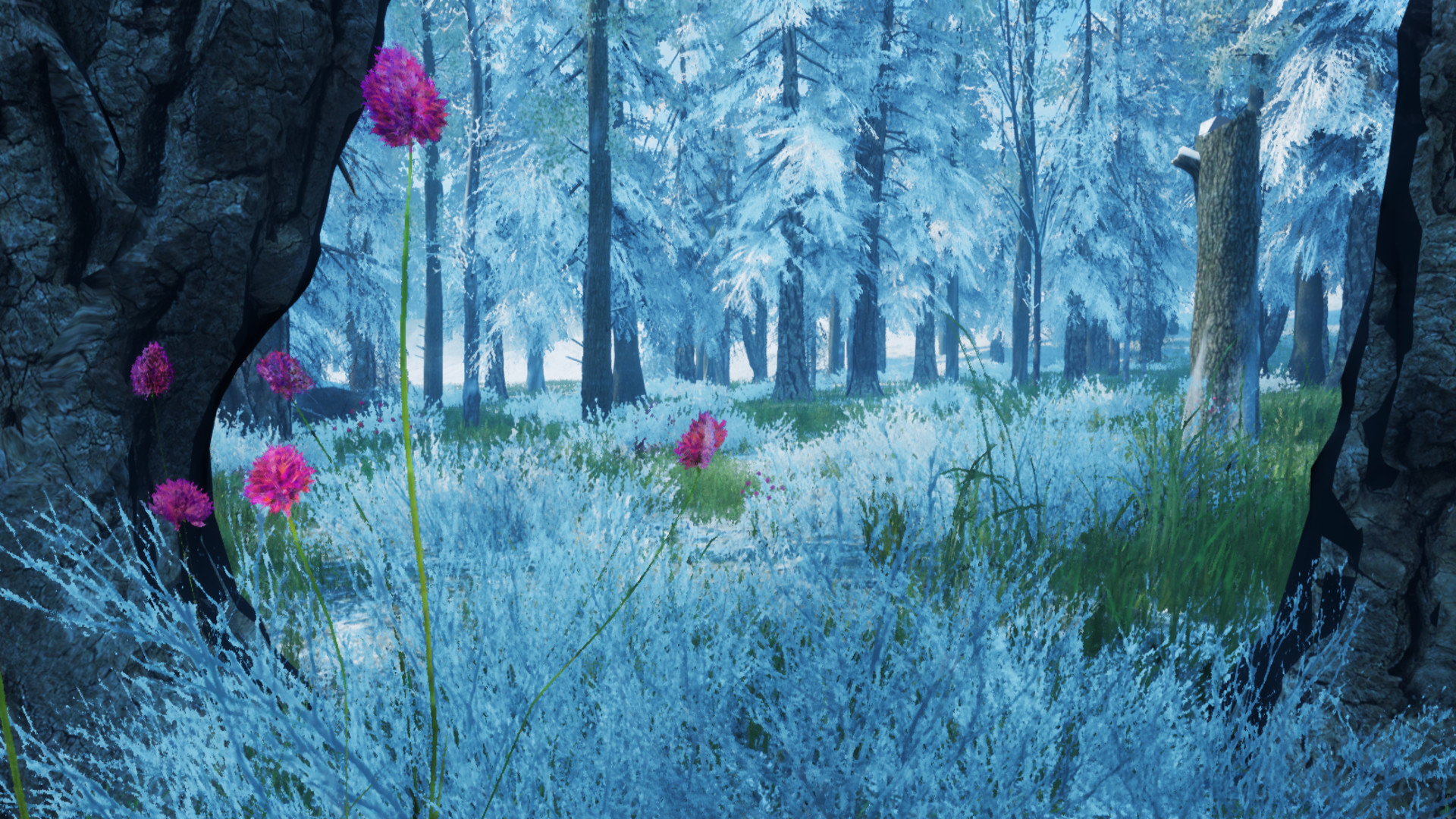 Xio: Survival