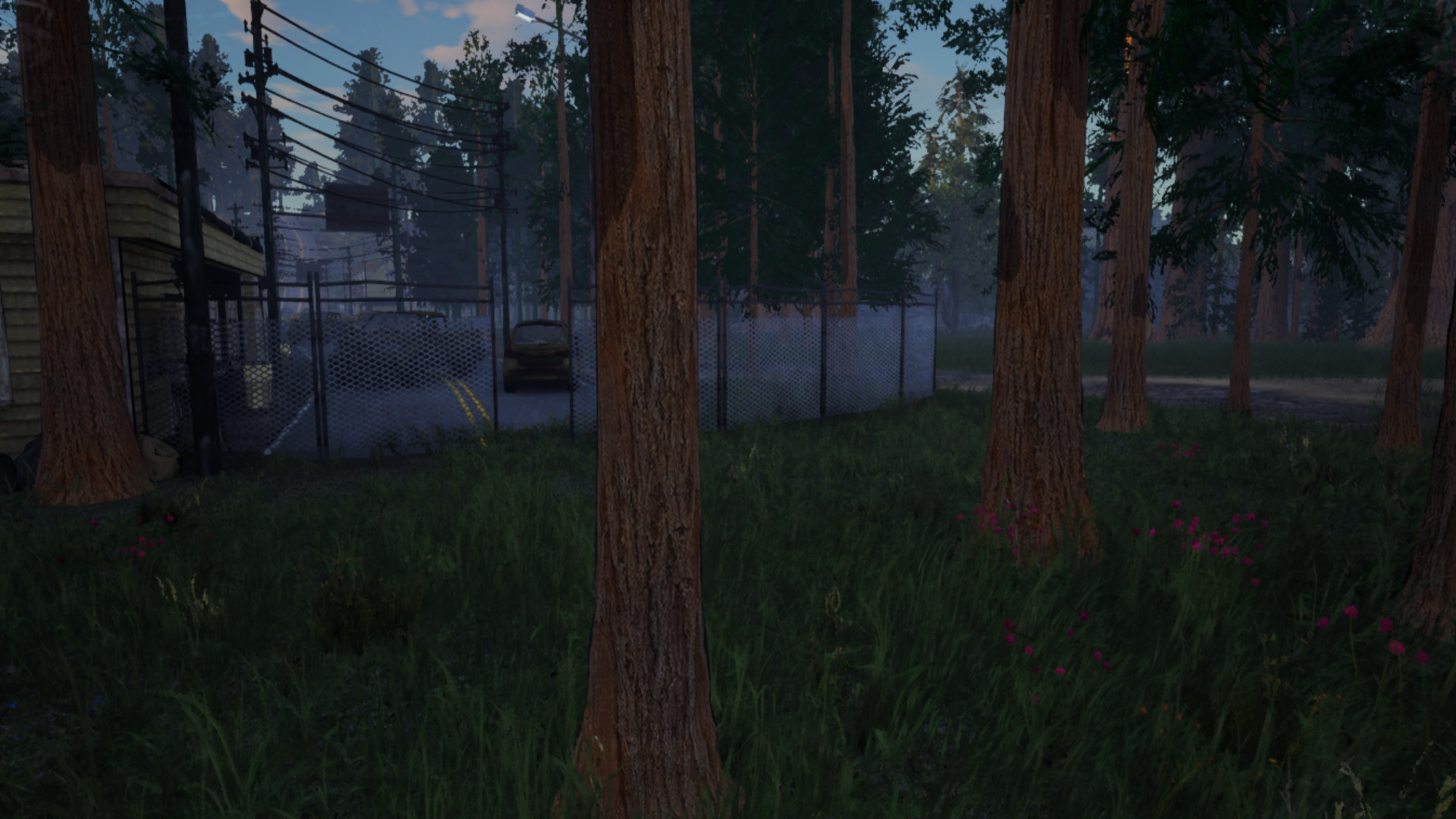 Xio: Survival