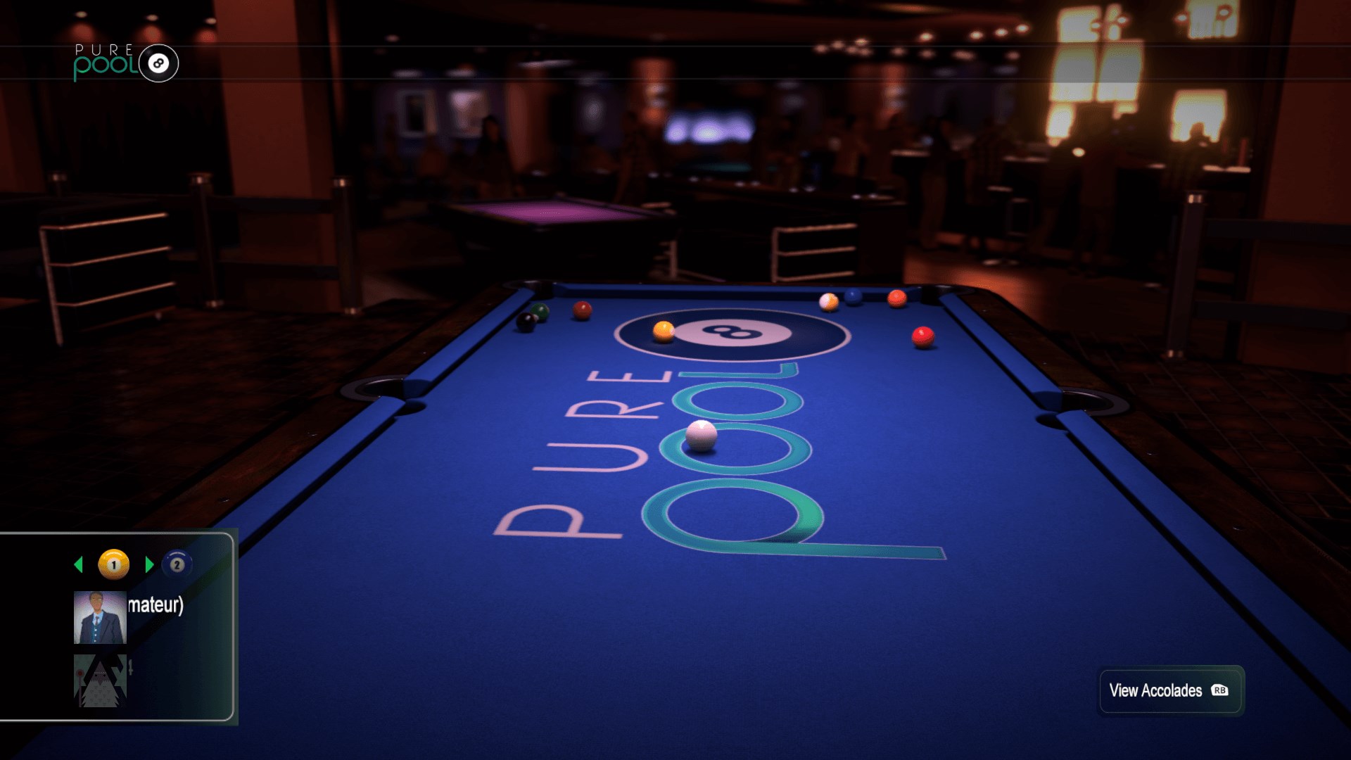 Pure Pool Snooker Bundle