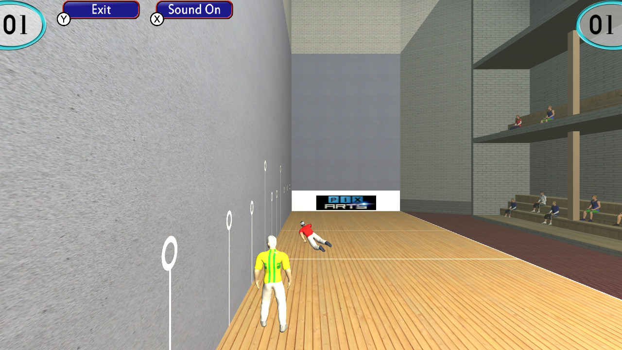 Handball Pelota