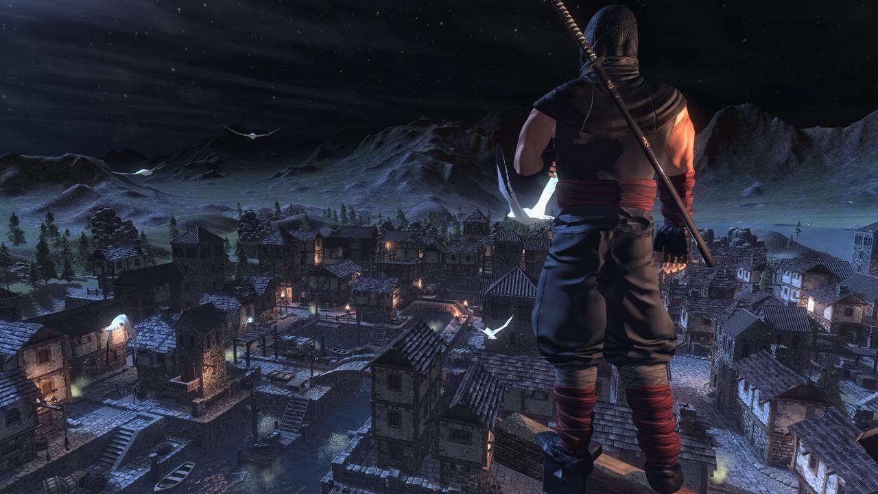 Ninja War Hero