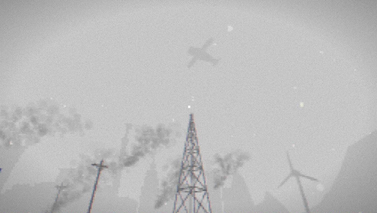 A Community Garden Outside of Kyiv