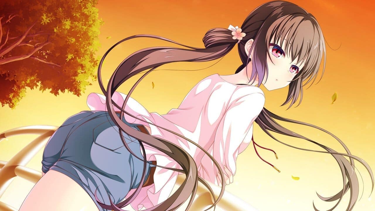 Houkago Cinderella: Complete Limited Edition