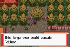 Pokémon Sienna