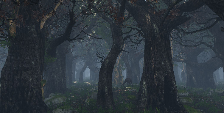 Maze to the old castle