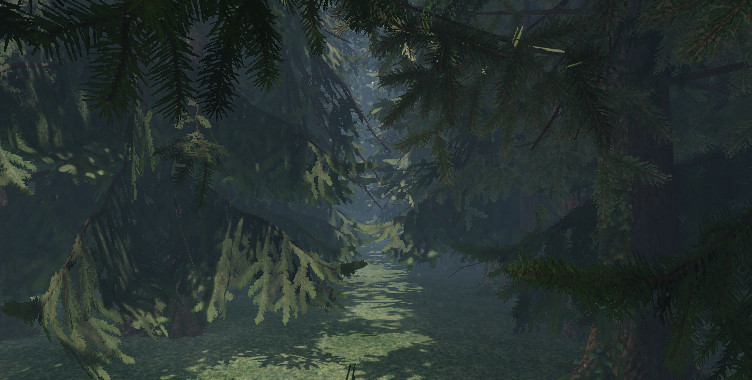 Maze to the old castle