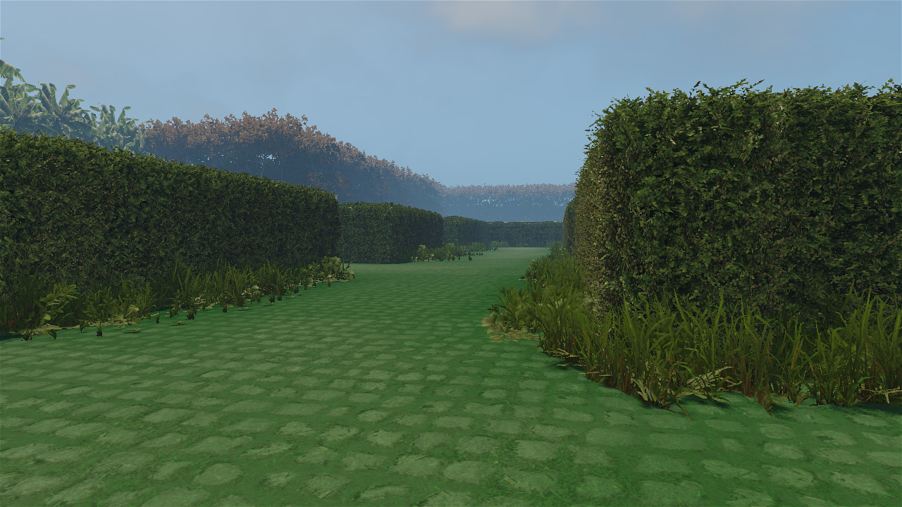 Maze to the old castle