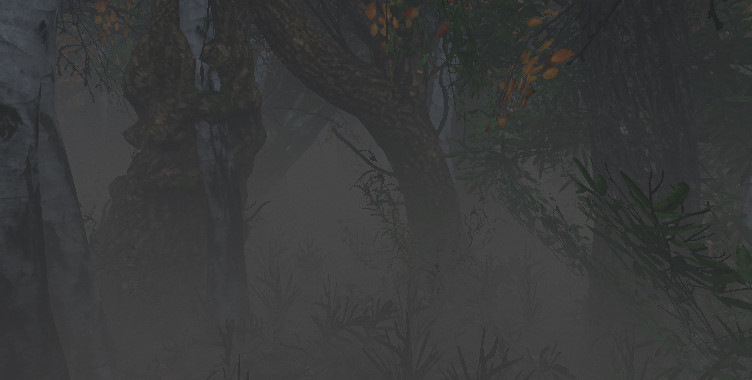 Maze to the old castle