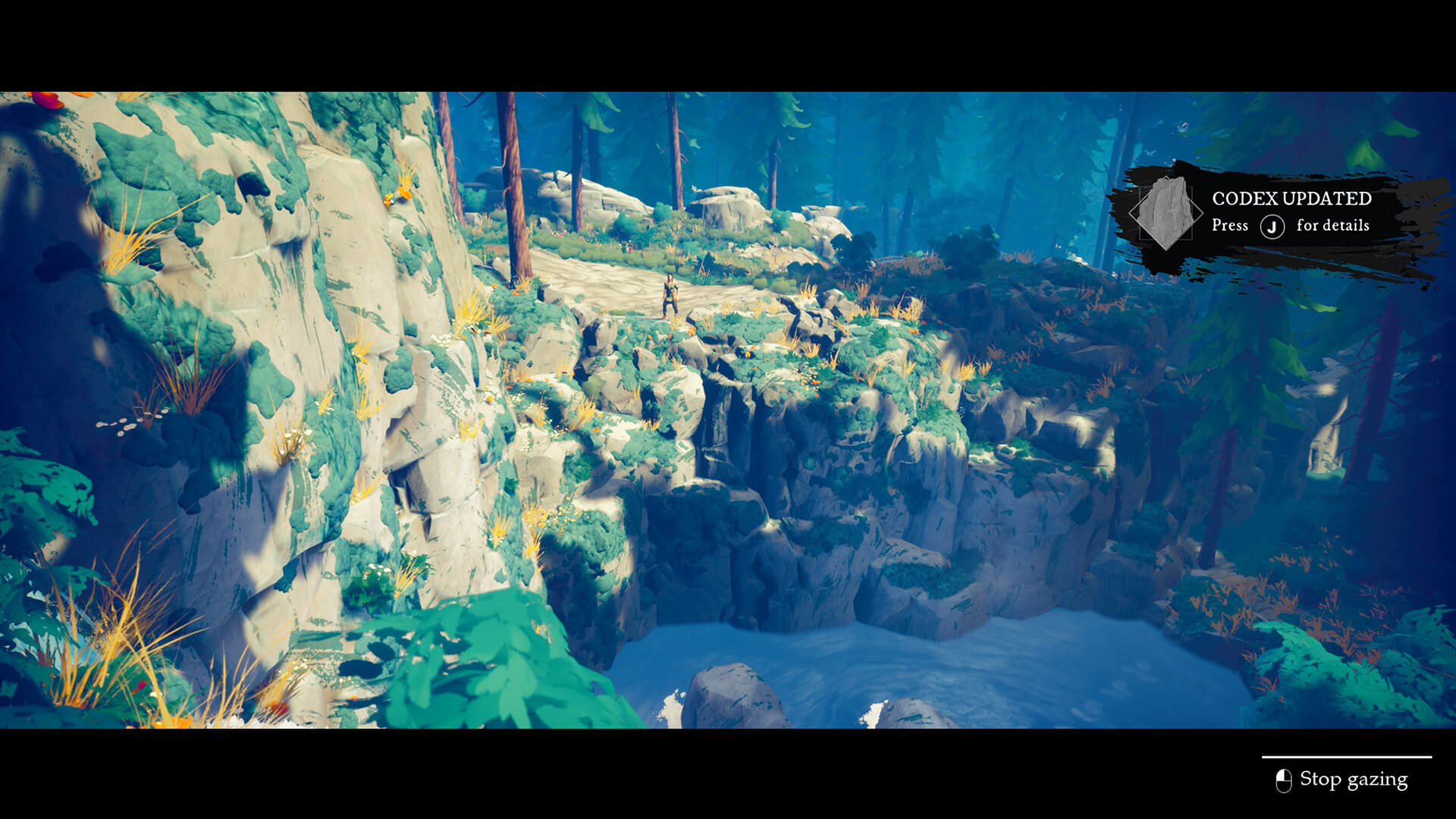 Two Falls: Nishu Takuashina