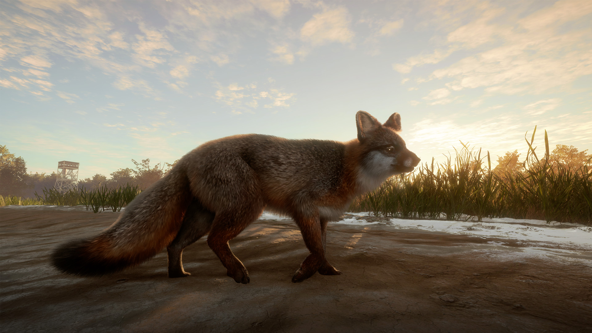 TheHunter: Call of the Wild – Mississippi Acres Preserve