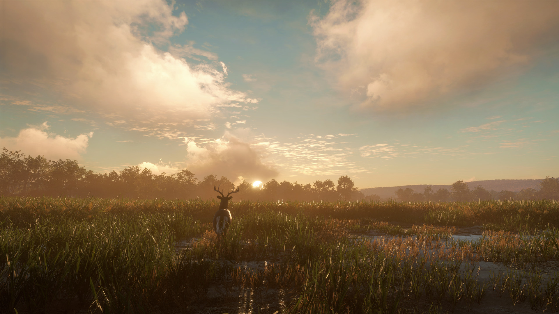 TheHunter: Call of the Wild – Mississippi Acres Preserve