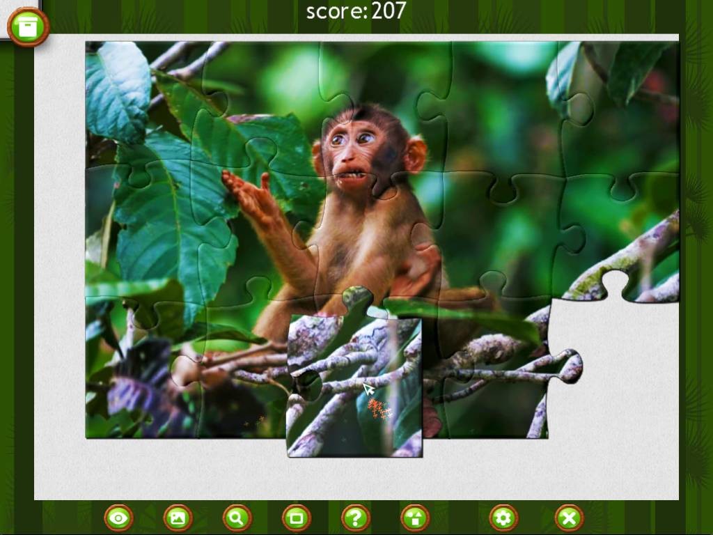 1001 Jigsaw: Wild Animals