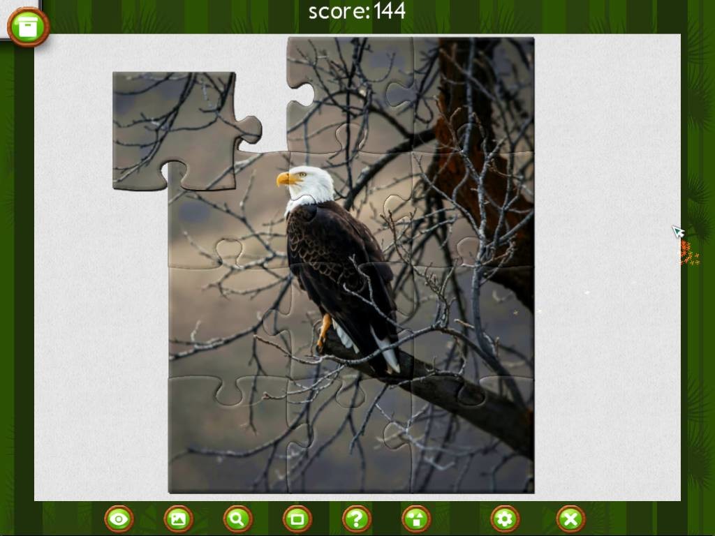 1001 Jigsaw: Wild Animals