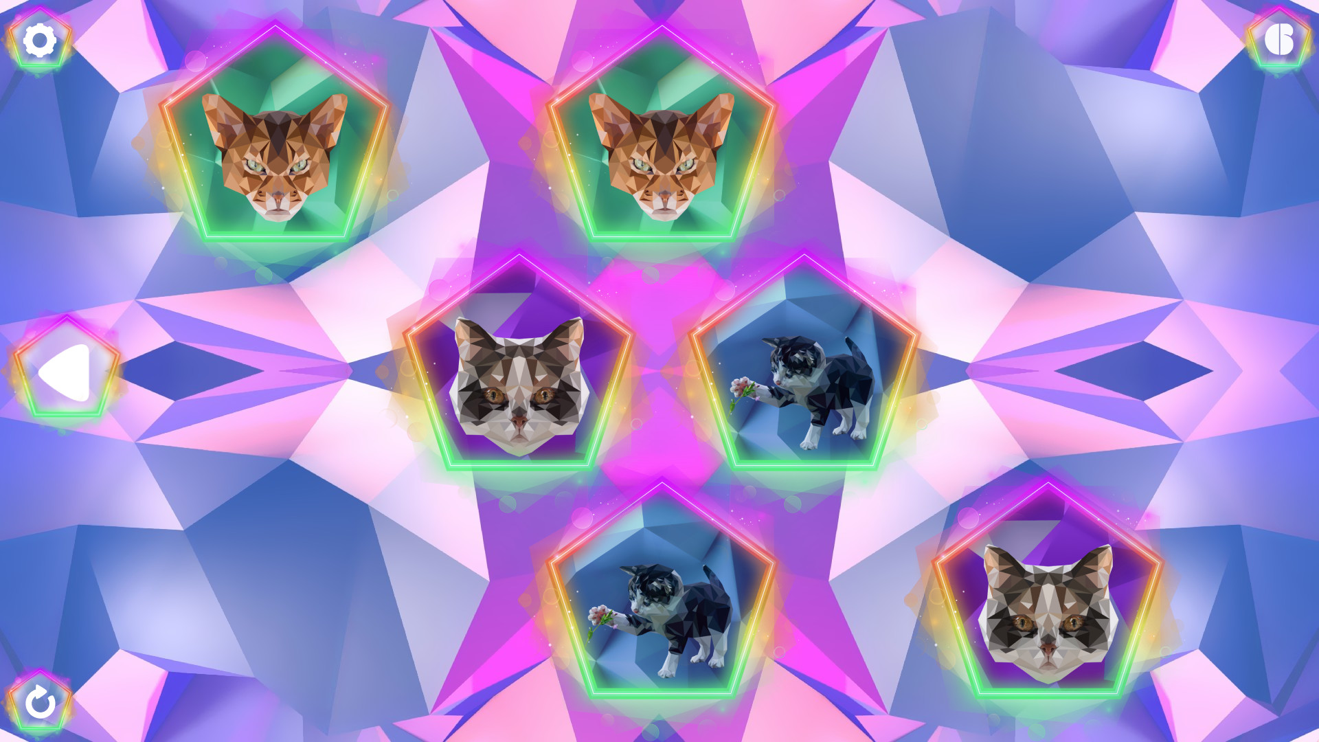 Poly Memory: Cats