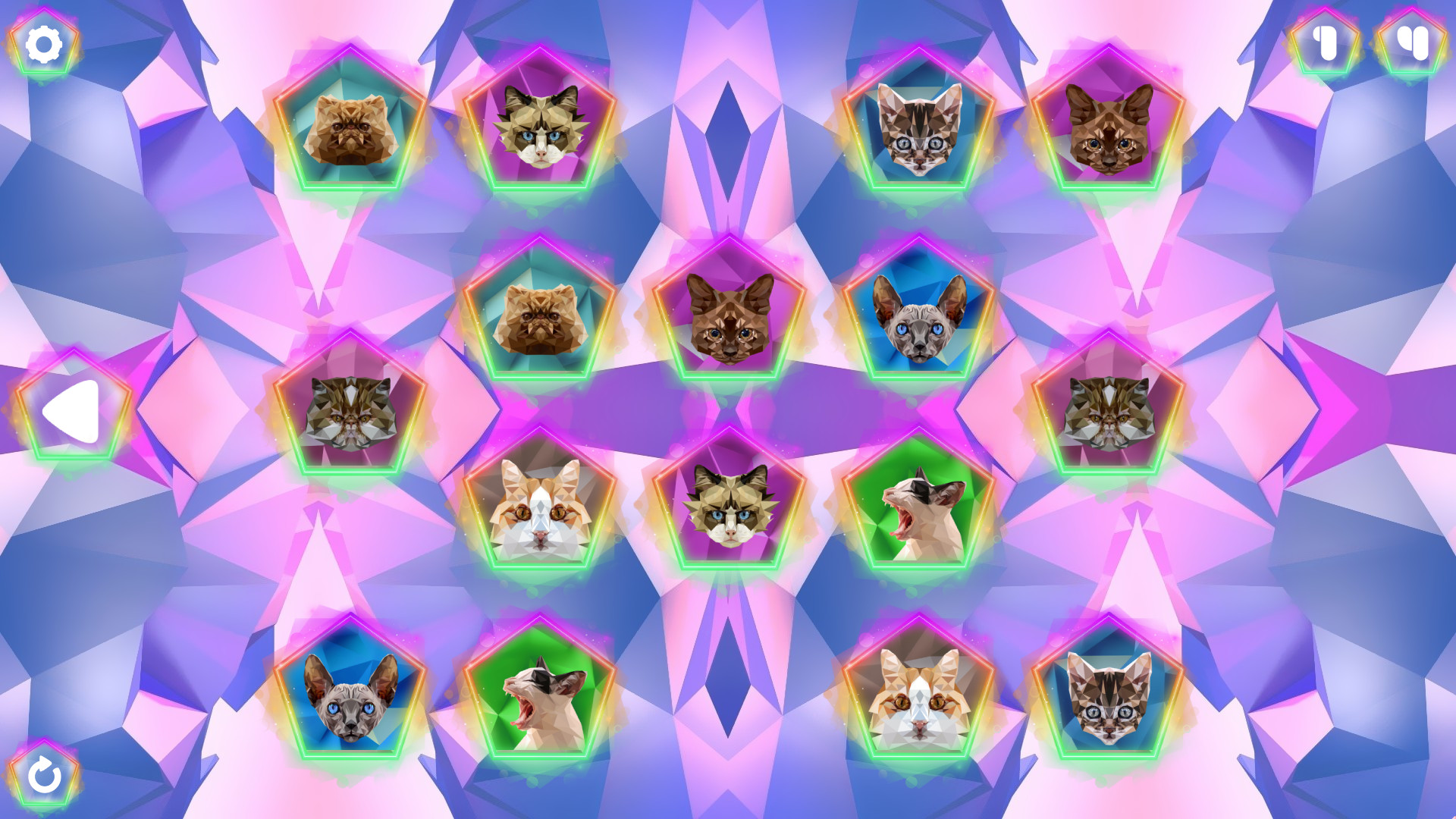 Poly Memory: Cats