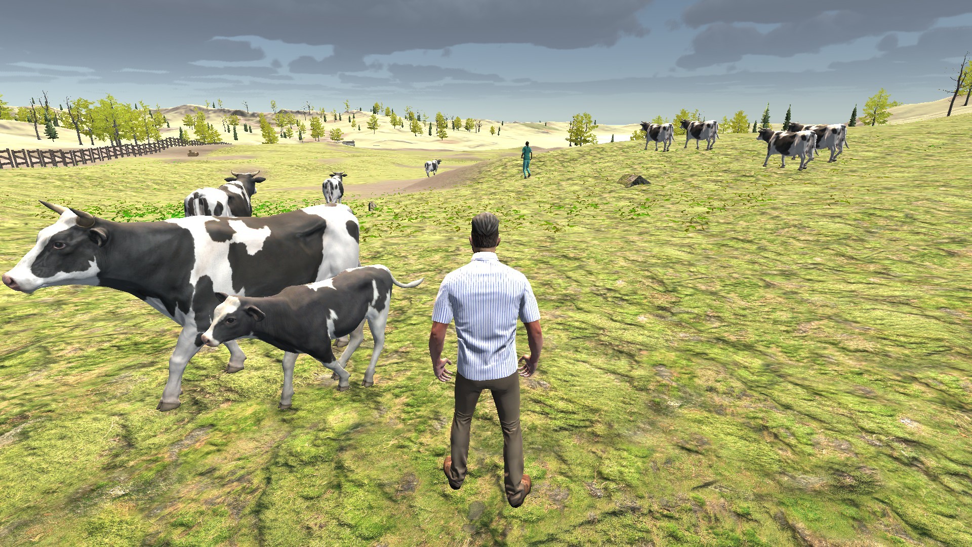 Directly Drink Milk from Cow