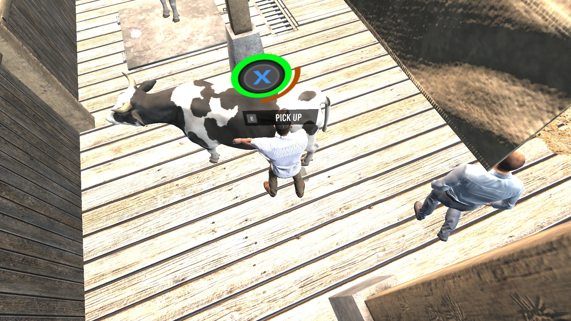 Directly Drink Milk from Cow