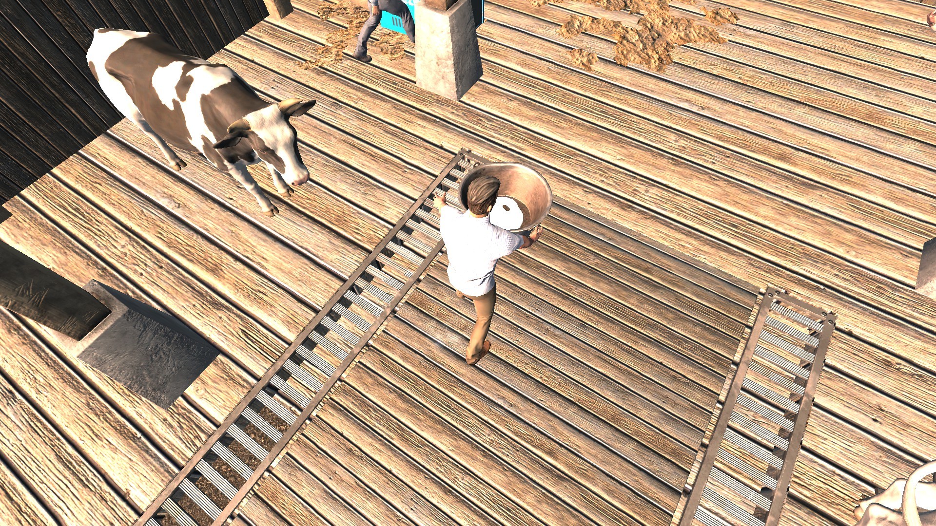 Directly Drink Milk from Cow