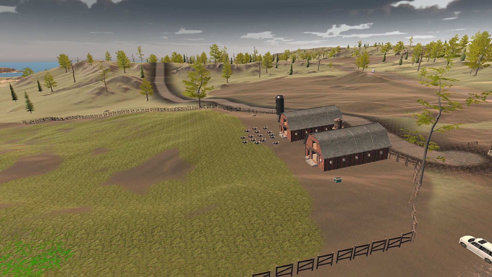 Directly Drink Milk from Cow