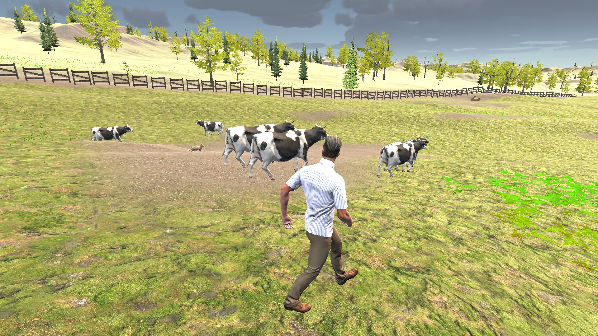 Directly Drink Milk from Cow