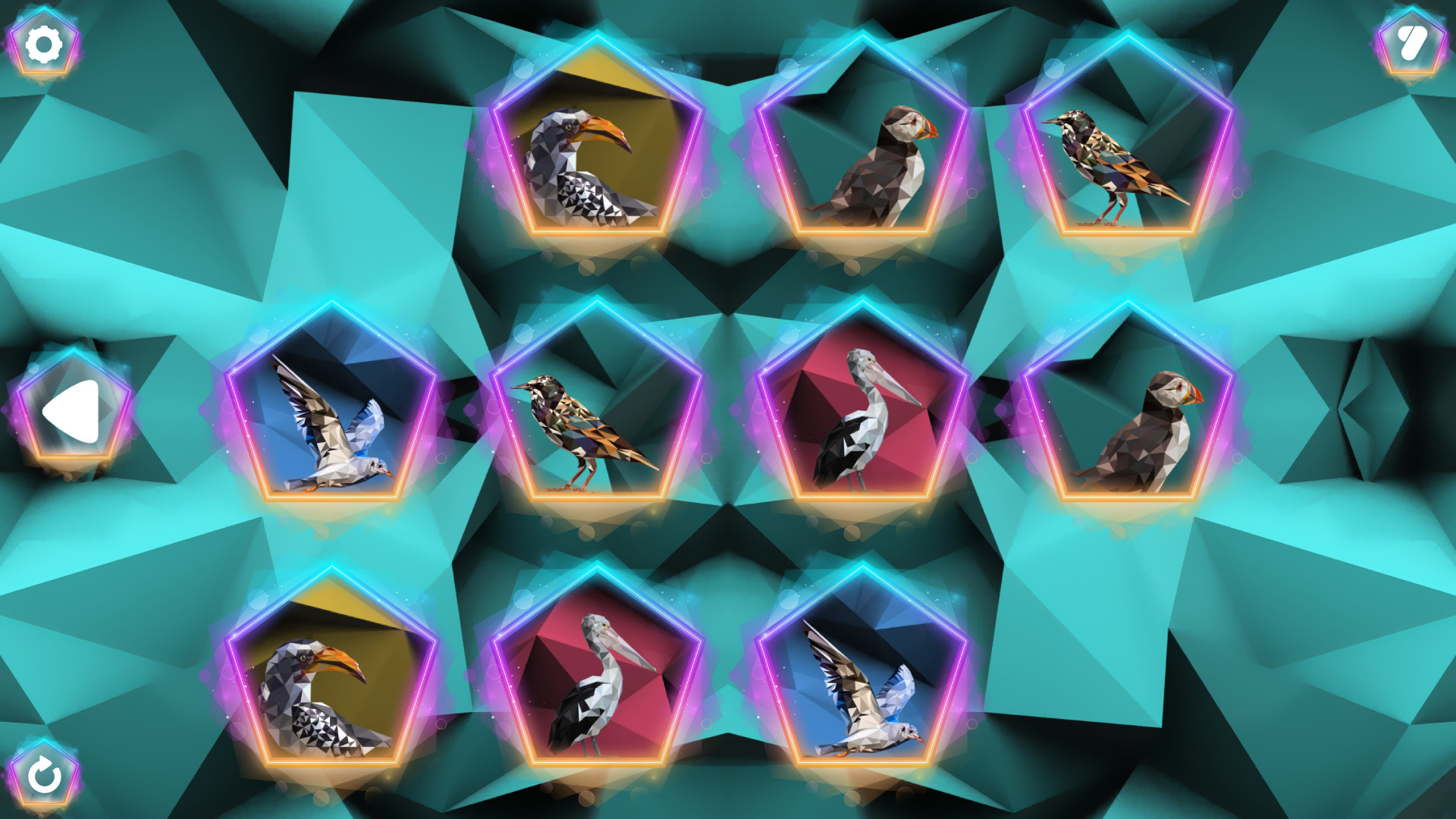 Poly Memory: Birds