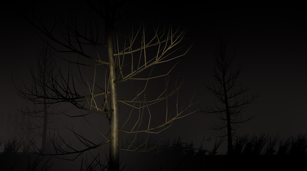 Mysterious Night: The First Night