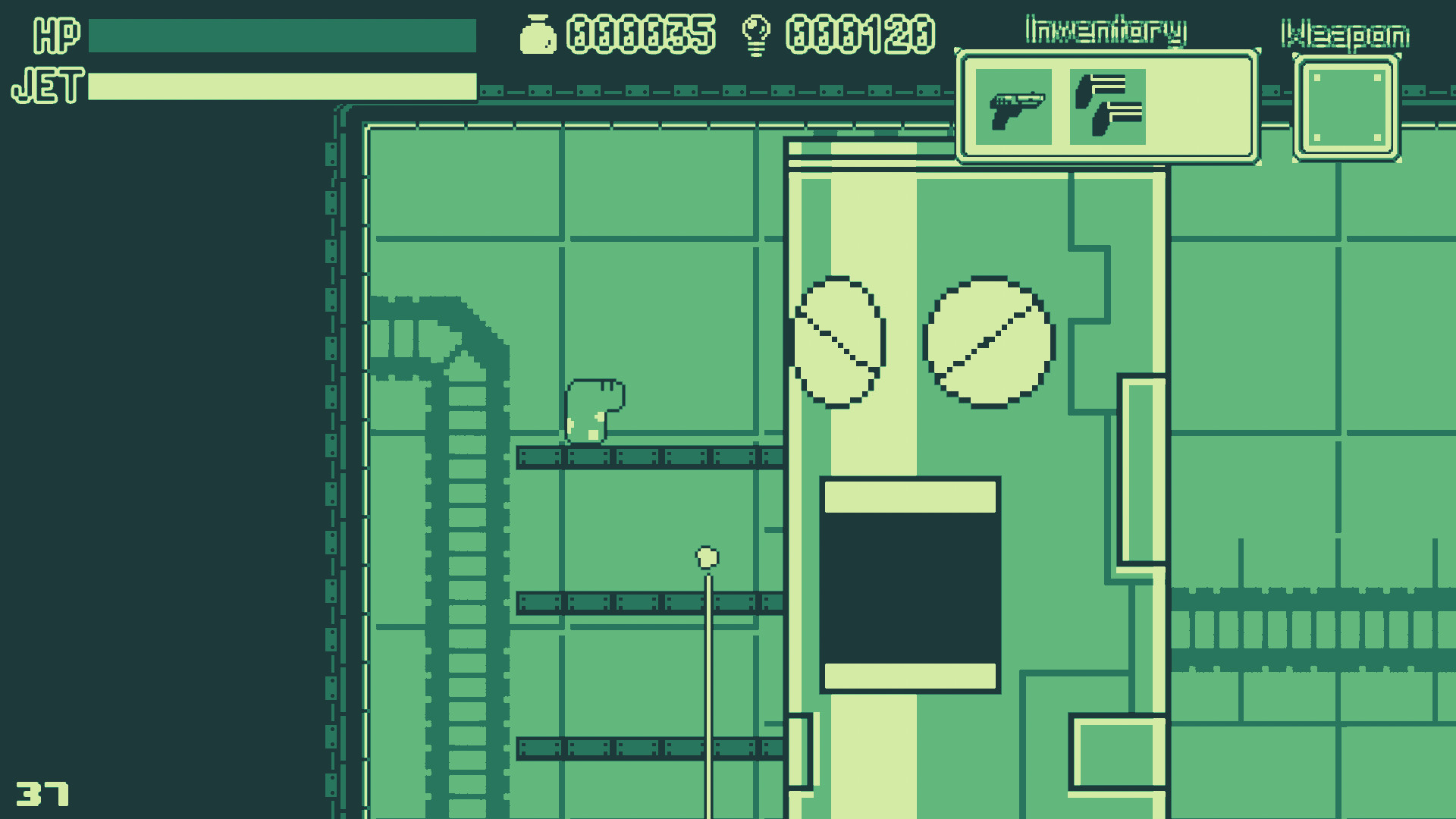 Spotted Garden Eel Adventure