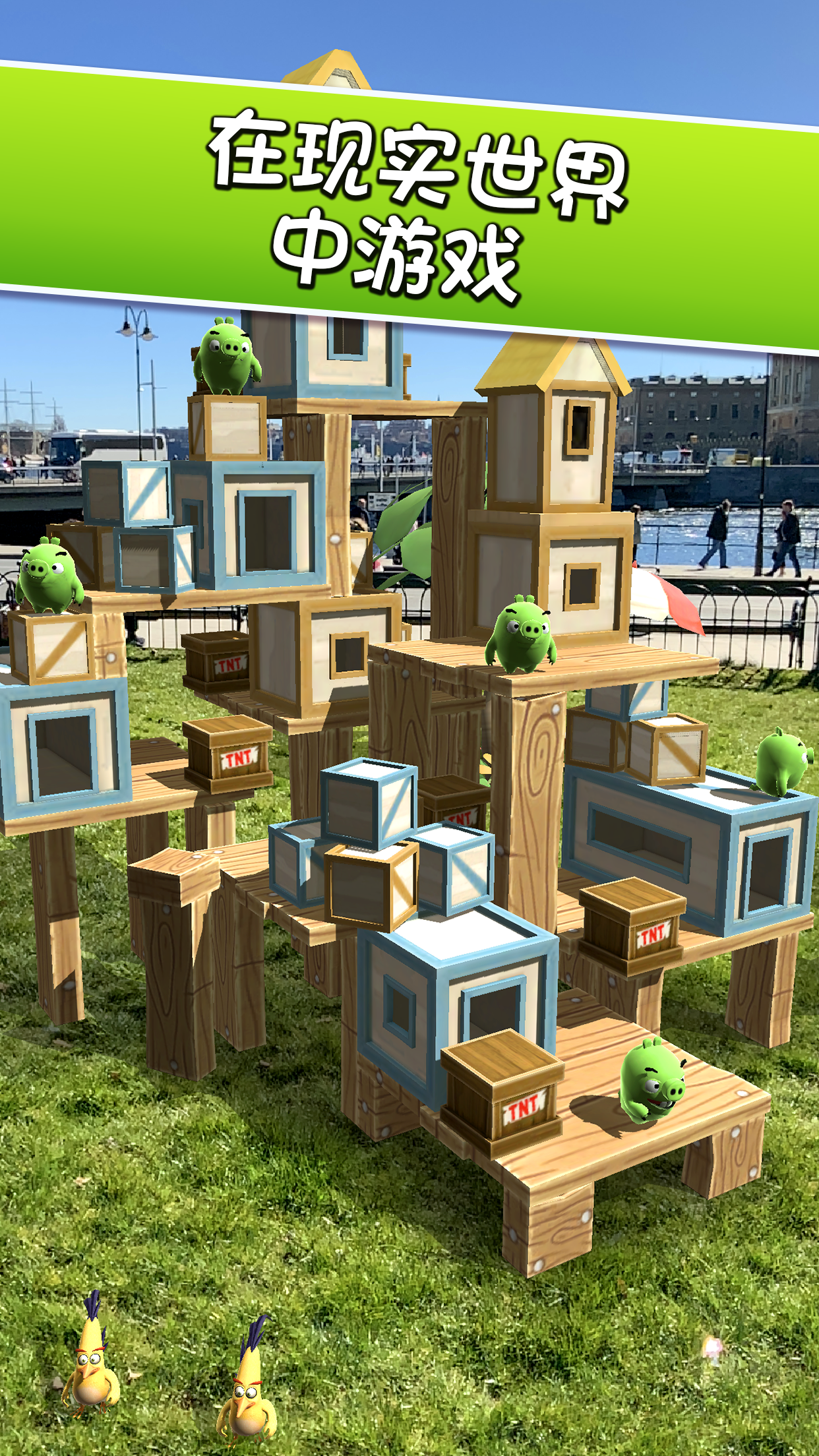 Angry Birds AR: Isle of Pigs