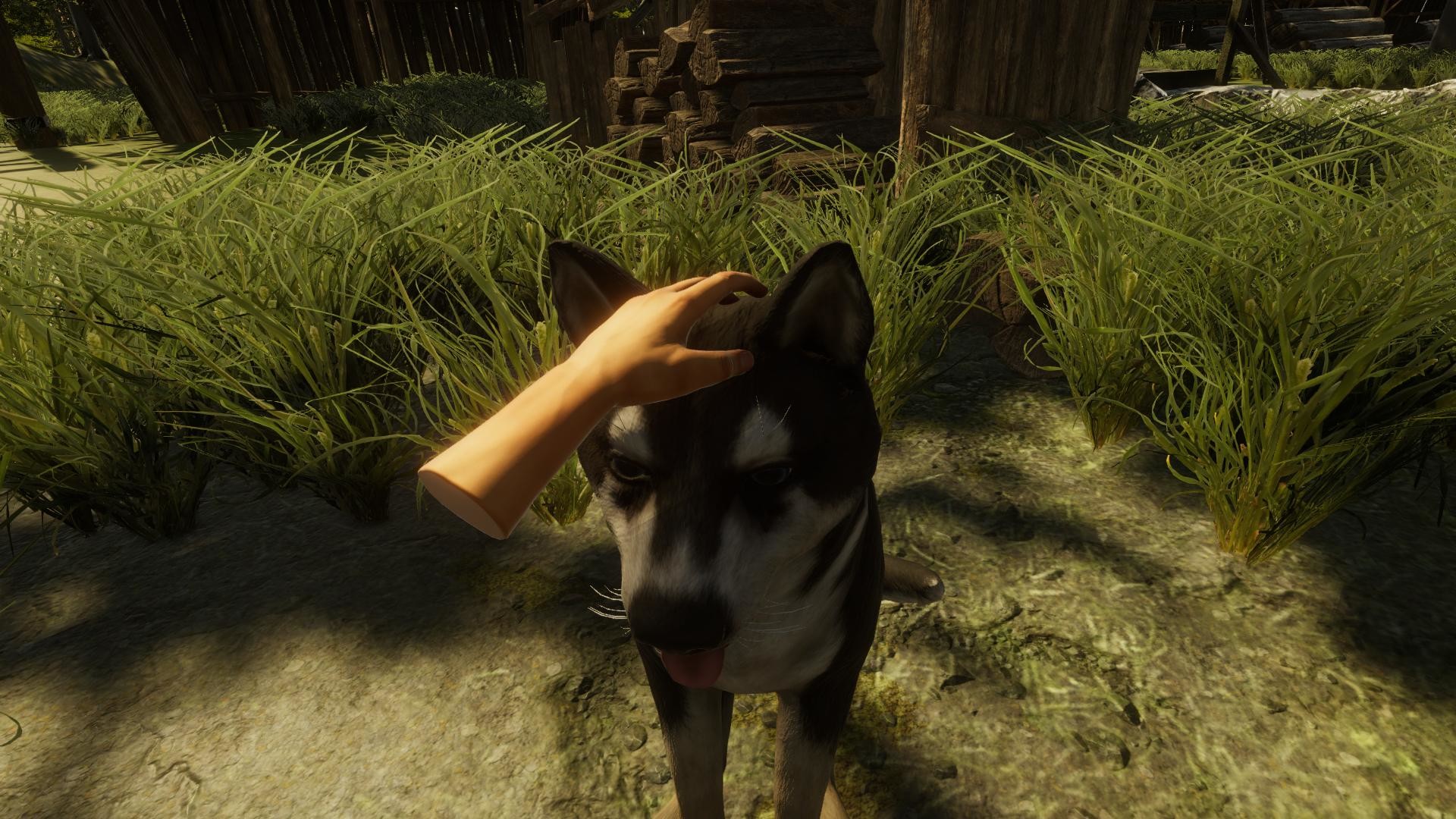Premortal VR
