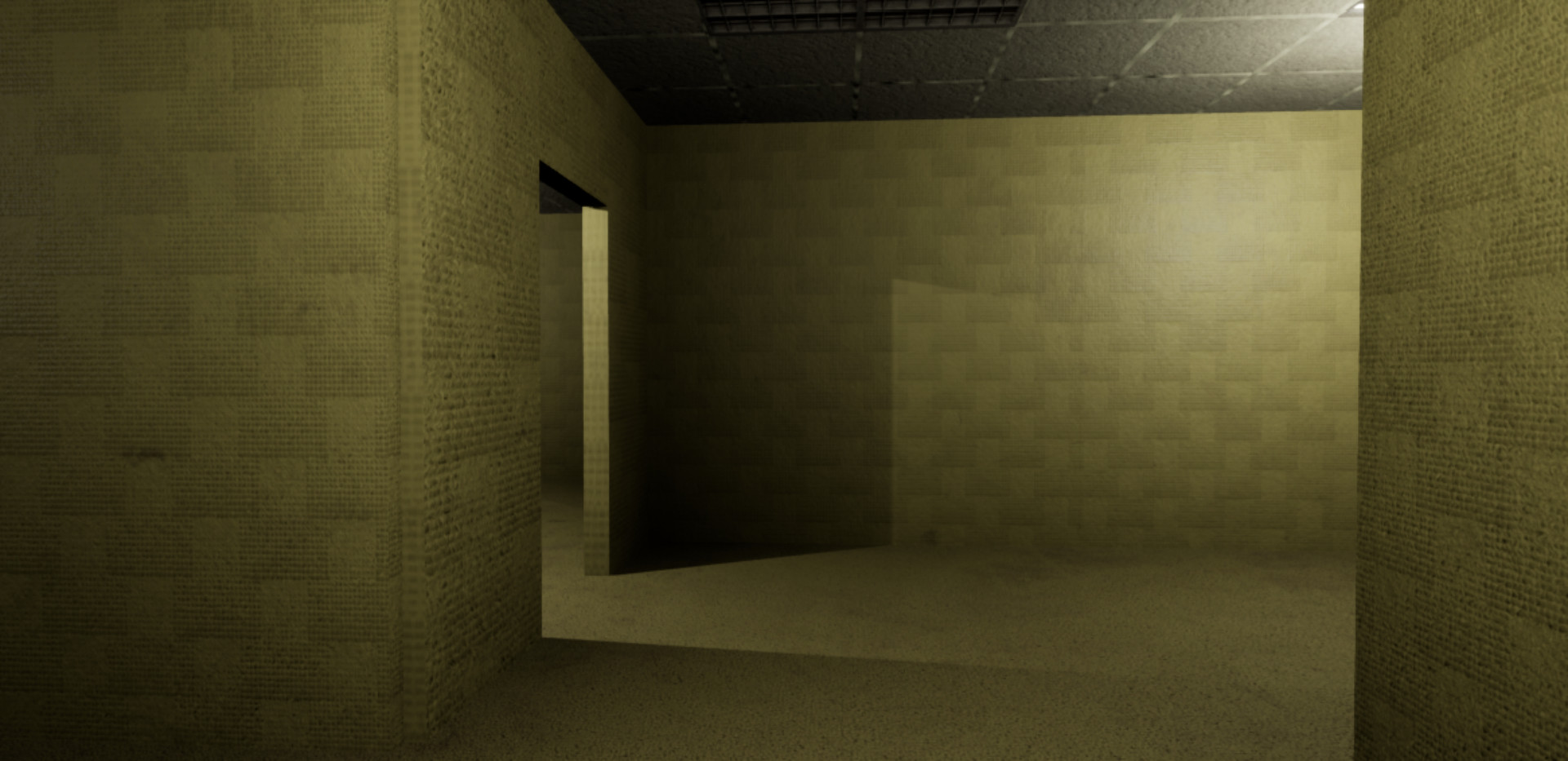 Welcome to the Backrooms