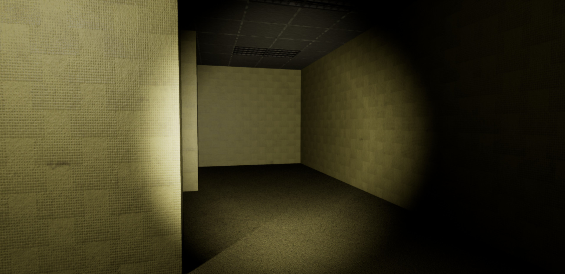 Welcome to the Backrooms