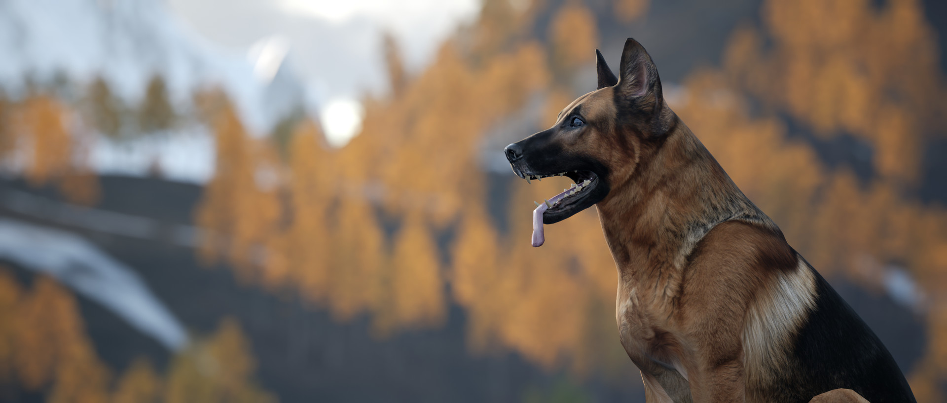 Motorcycle Travel Simulator