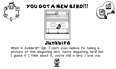 Casual Birder