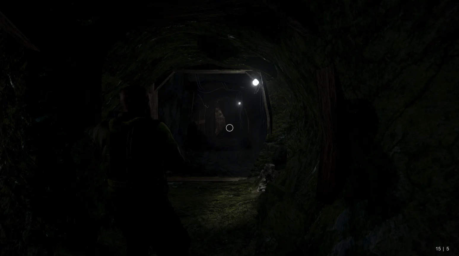 Resident Evil: The Arklay Chronicle